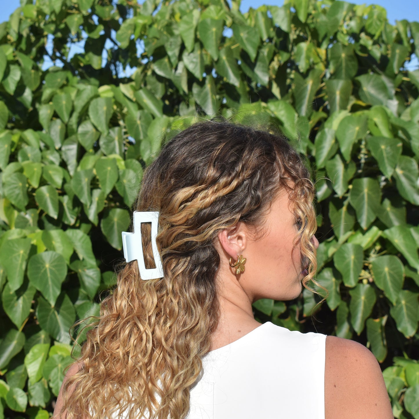 Hair Clips
