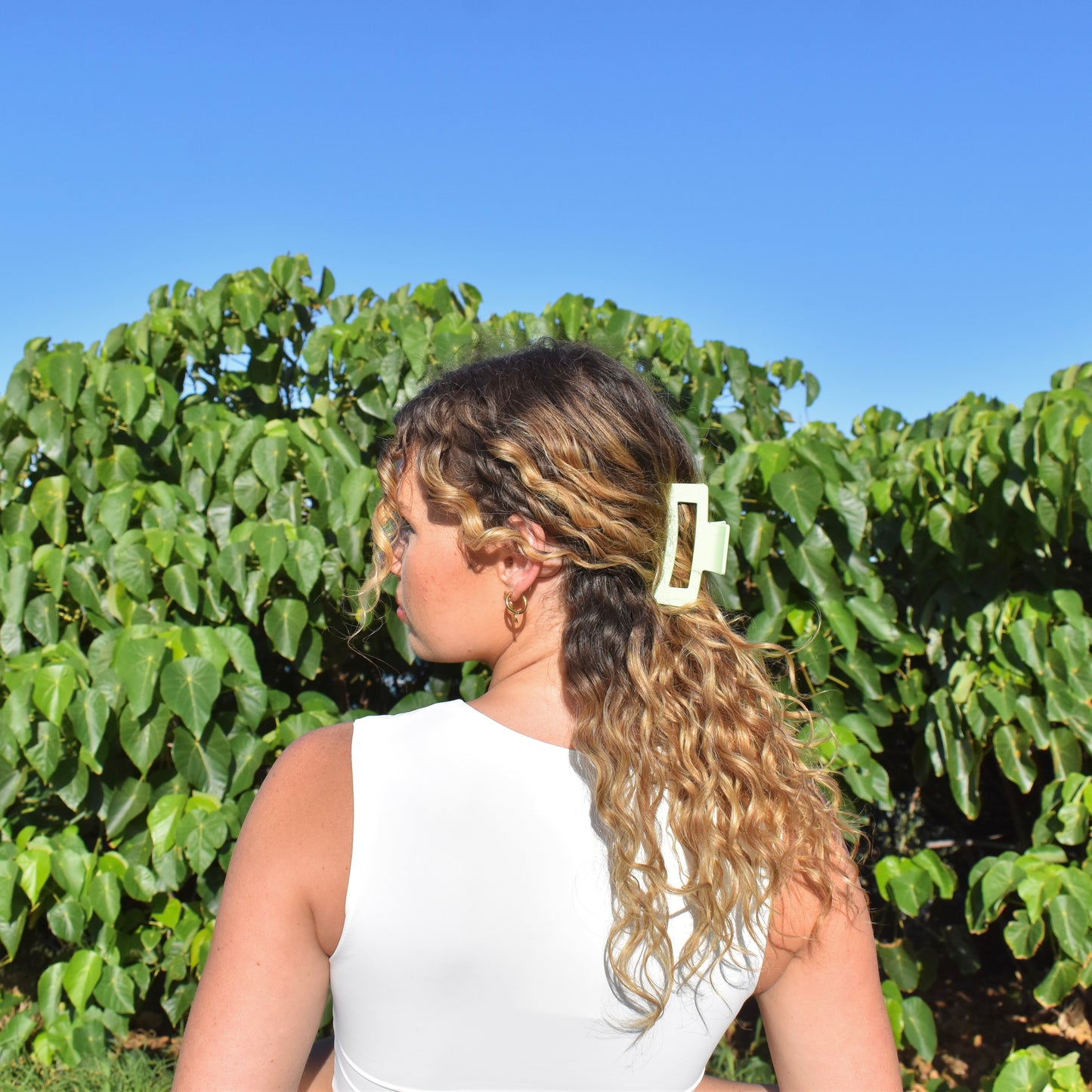 Hair Clips