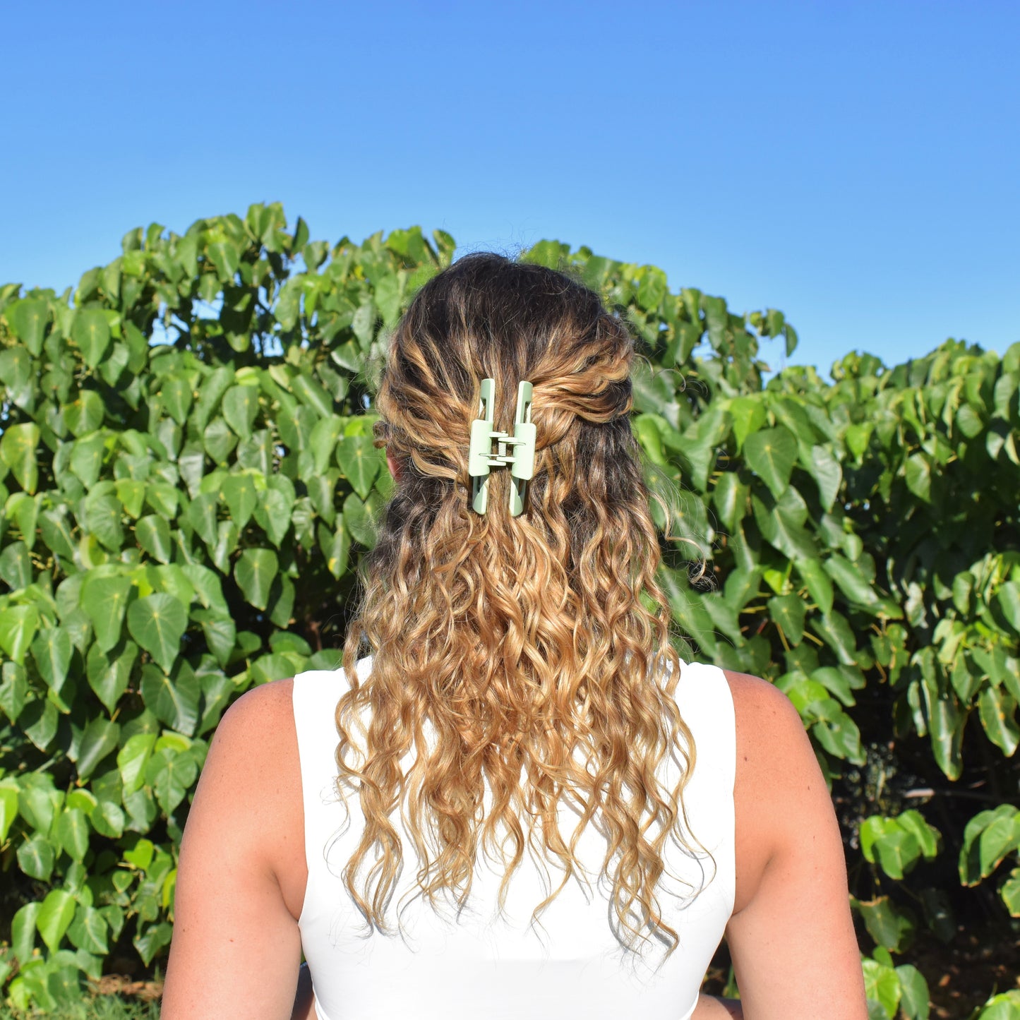 Hair Clips