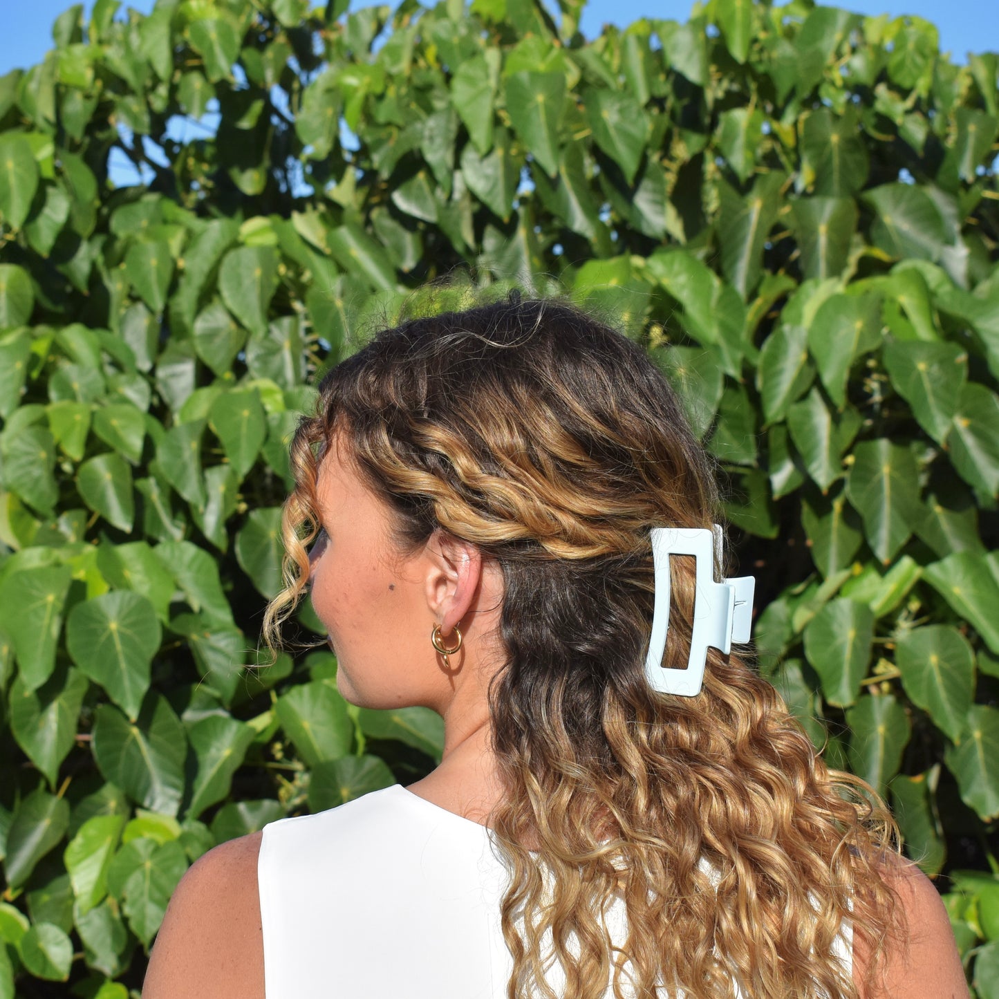 Hair Clips
